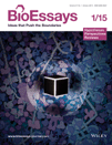 BioEssays 29 cover