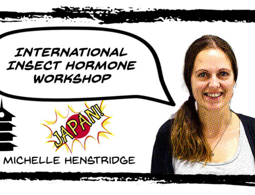 International Insect Hormone Workshop